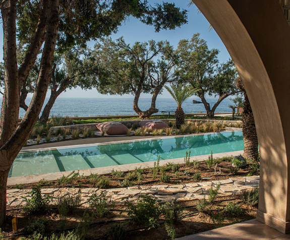 The Echo Of The Sea Beachfront Villa pool with trees around